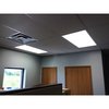 Softex Plus Softex Plus Fiberglass Ceiling Tiles - Black Matte - 1" thick - 2x4 - 12 Pack STN-1141-VINR-04